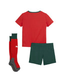 Kids kit Portugal Home 25/26- With socks