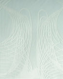 Special Edition Celtic FC Jersey 25/26