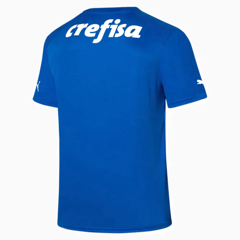 Jersey Palmeiras 23/24