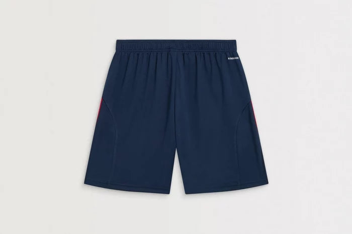 Shorts Arsenal Away 25/26