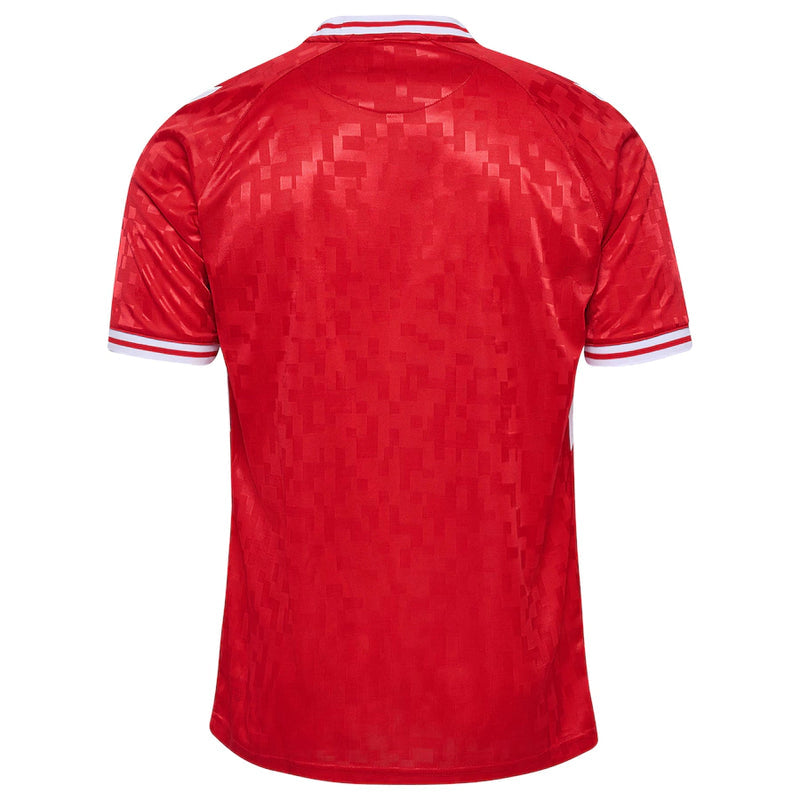 Jersey Denmark 24/25
